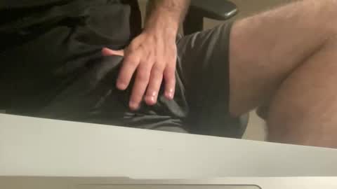 myStallion online show from 14, 10, 2025