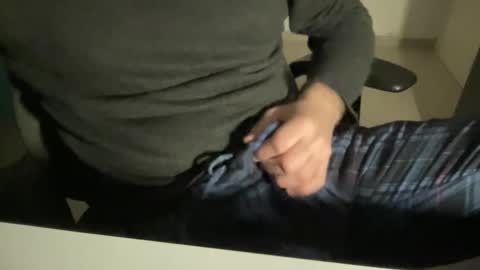 myStallion online show from 21, 3, 2026