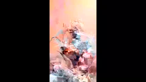 mza274 online show from 17, 1, 2026