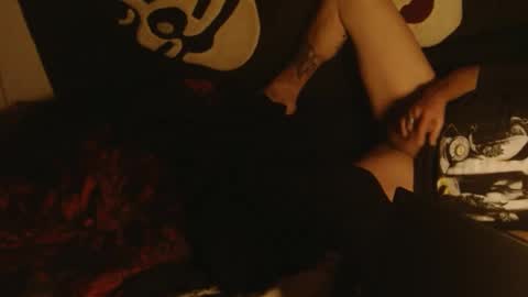 n33koblakk online show from 24, 2, 2025