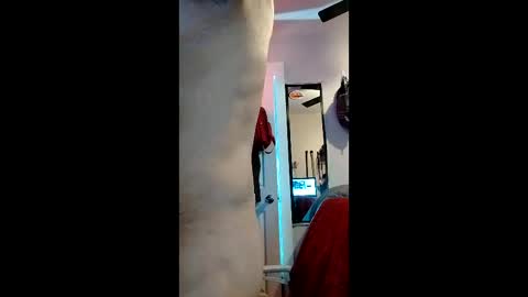 cheesechip online show from 19, 12, 2025