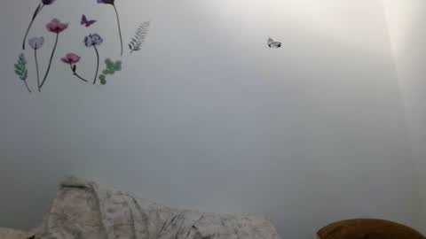 nahomy_gree online show from 6, 2, 2026