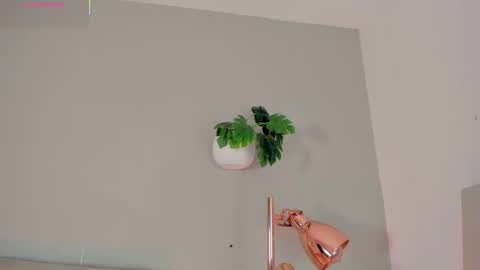 INSTAGRAM  m2221     online show from 9, 2, 2026