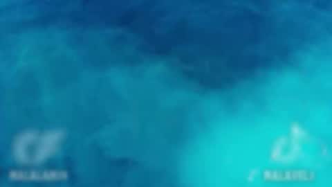 Onlyf4s nalalan29 online show from 2, 12, 2025