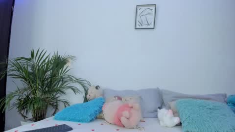 N A M I    -   OF  namibergmant online show from 16, 1, 2025