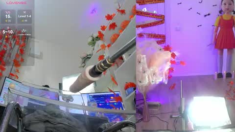 INSTAGRAM     bekkercat  online show from 30, 10, 2025