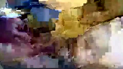 Nane online show from 8, 1, 2026