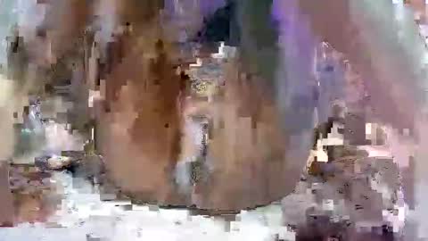 nasty toy online show from 9, 1, 2025