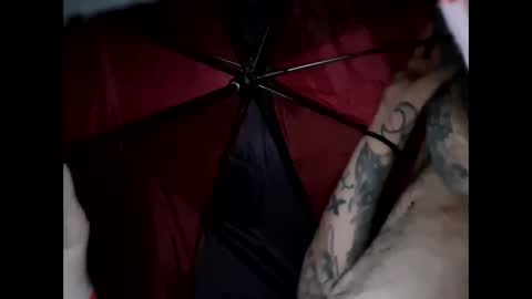 spider online show from 27, 2, 2026