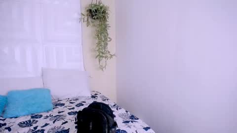 Snapshot of nataly_mcry chatting on 25, 4, 2026 NATALY online show from 25, 4, 2026