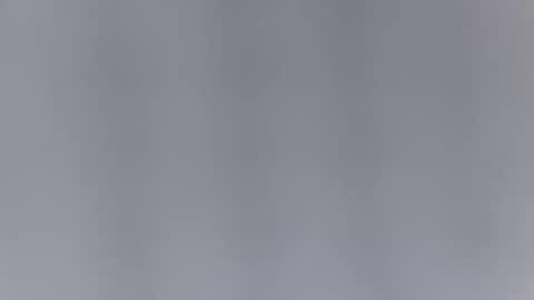 Haven online show from 11, 3, 2026