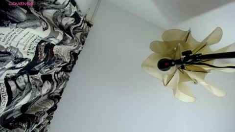 NATTA online show from 1, 2, 2025