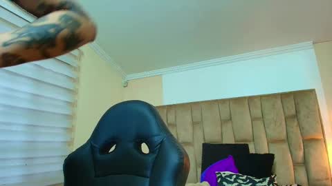 Kitten online show from 3, 3, 2026