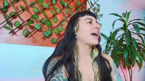 Kitten online show from 10, 4, 2026