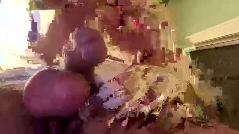 ndsckd online show from 16, 12, 2024