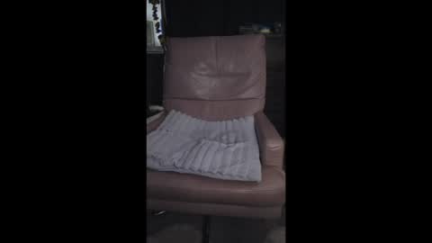 Snapshot of ndulgenetfun chatting on 16, 7, 2026 Hi Im CJ online show from 16, 7, 2026