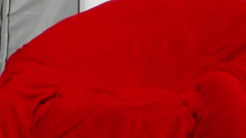 neccesitysexxxxx online show from 1, 6, 2026