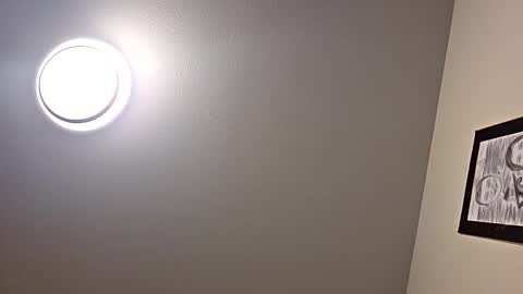 Snapshot of nemz6666 chatting on 2, 11, 2025 Nemz6666 online show from 2, 11, 2025