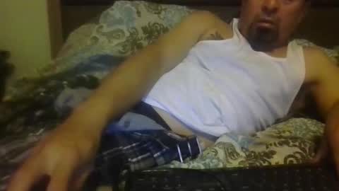 Snapshot of nerfylil2 chatting on 14, 4, 2026 Nerfylil online show from 14, 4, 2026