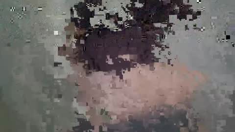 Anastasia online show from 18, 3, 2026