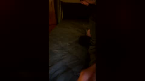 netgear70 online show from 17, 12, 2025