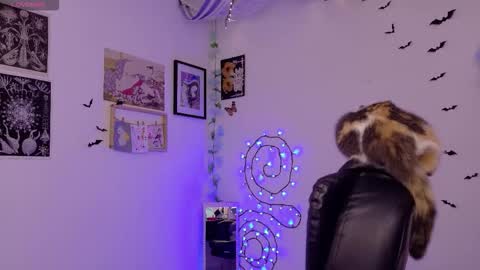 Snapshot of neurotic_witch chatting on 3, 2, 2026 Mar online show from 3, 2, 2026