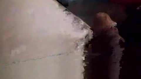 Snapshot of neverseentthatb4 chatting on 23, 11, 2025 Matt online show from 23, 11, 2025