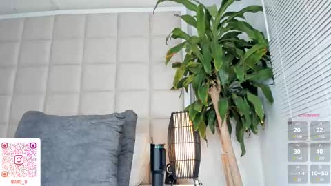 Nia online show from 12, 3, 2025