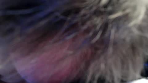 Jan online show from 11, 7, 2026