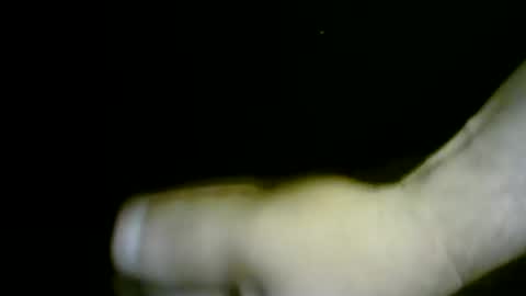 nicholaastavrou19 online show from 1, 4, 2026