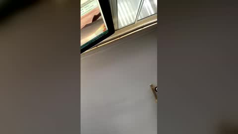 Snapshot of nicholaastavrou1977066464511s chatting on 17, 1, 2026 nick stavrou online show from 17, 1, 2026