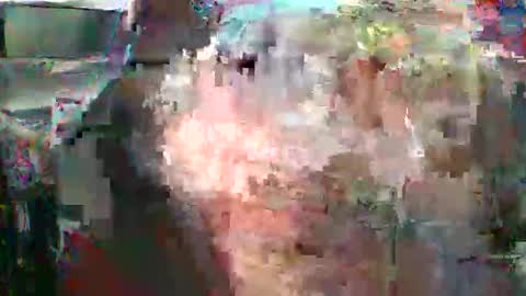 Snapshot of nicholaastavrou1977066464511s chatting on 16, 2, 2026 nick stavrou online show from 16, 2, 2026