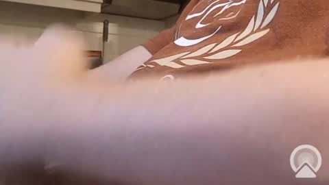 nick_x_b online show from 9, 12, 2024