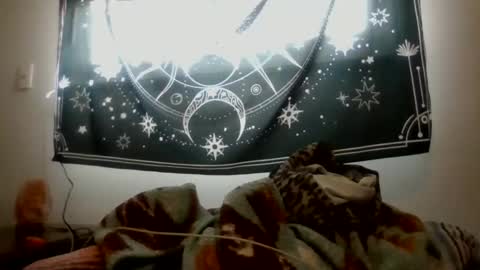 Nicole online show from 25, 2, 2026