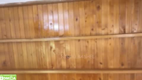 Nicoll  Independent model online show from 17, 11, 2025