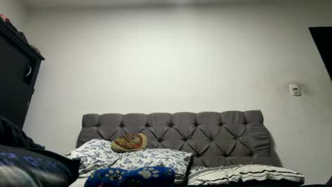 Anni online show from 15, 7, 2026