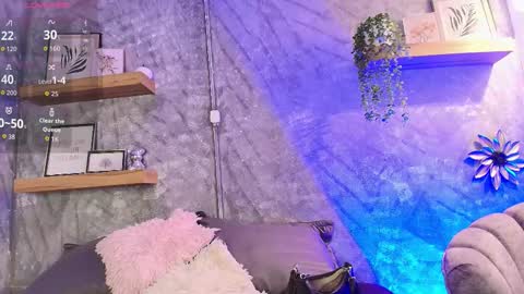    online show from 2, 2, 2026