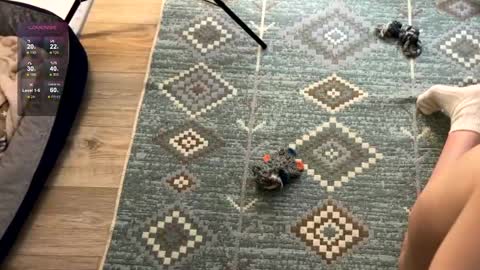 Jennet online show from 2, 12, 2024