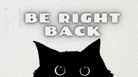 Jennet online show from 10, 12, 2024