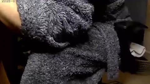 nineinchhard online show from 6, 1, 2025