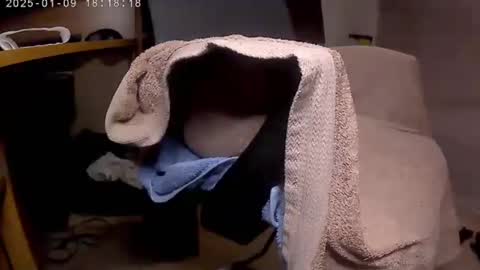 nineinchhard online show from 9, 1, 2025