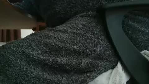 nineinchhard online show from 6, 11, 2025