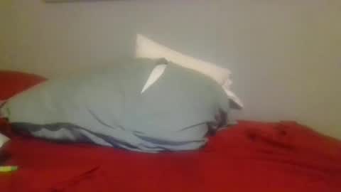 Snapshot of ninjamonkey23 chatting on 11, 1, 2025 ninjamonkey23 online show from 11, 1, 2025