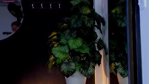 Noah  online show from 25, 3, 2026