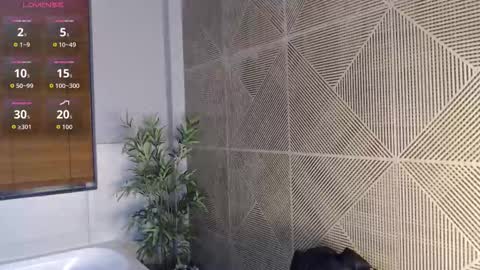 noah_dupont_ online show from 22, 2, 2026