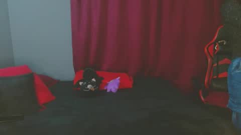 Noamartin online show from 27, 2, 2025