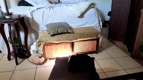 Snapshot of nobudget06 chatting on 16, 2, 2025 nobudget06 online show from 16, 2, 2025