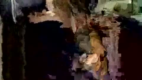 nocturnus1980 online show from 1, 12, 2025