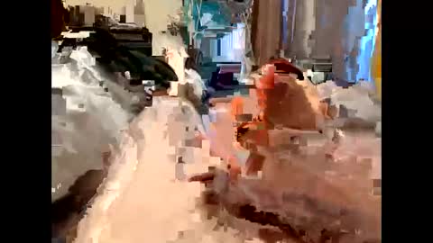 nolplus online show from 5, 3, 2025