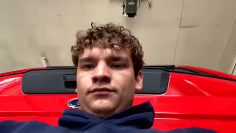 Curly  online show from 21, 4, 2026